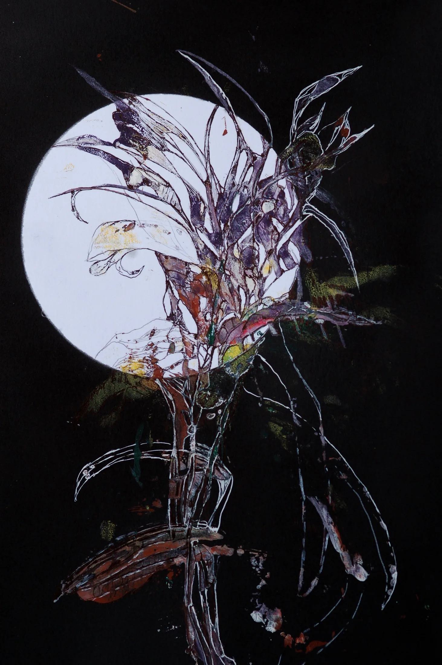 luna piena 1